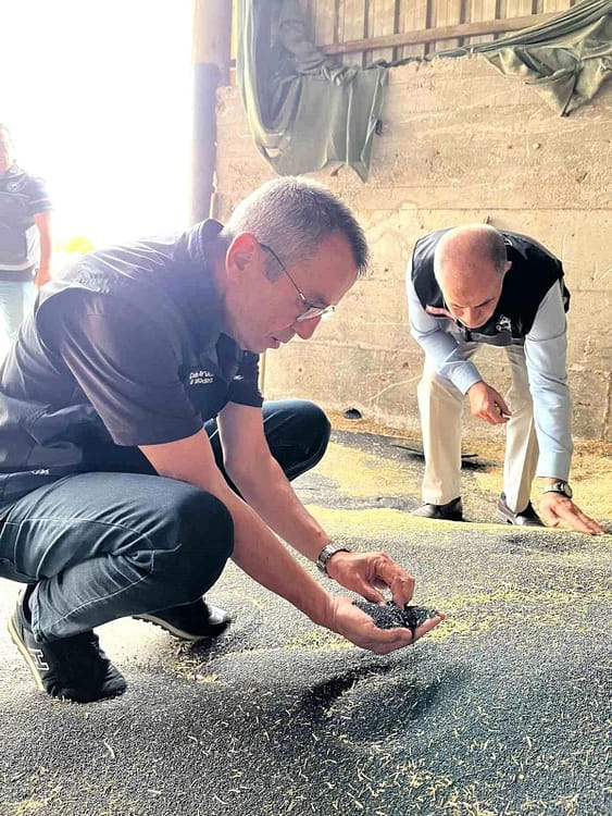 Bilecik'te kanola ve ayçiçeği alımları hız kazandı